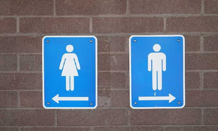 Jenis toilet publik yang terpisah, Sumber: pantau.com