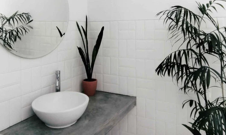 Toilet dengan tanaman hias, Sumber: arsitag.com