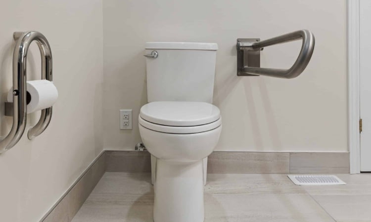 Toilet dengan bantuan pegangan, Sumber: mycaringplan.com