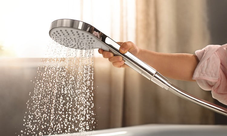 Jenis hand shower, Sumber: hansgrohe-usa.com