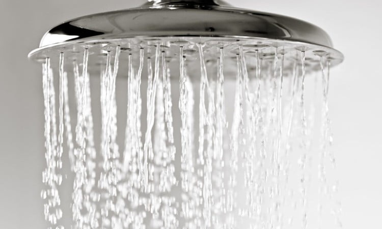 Rainfall shower, Sumber: southernliving.com