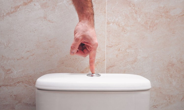 Tombol flush, Sumber: hearstapps.com