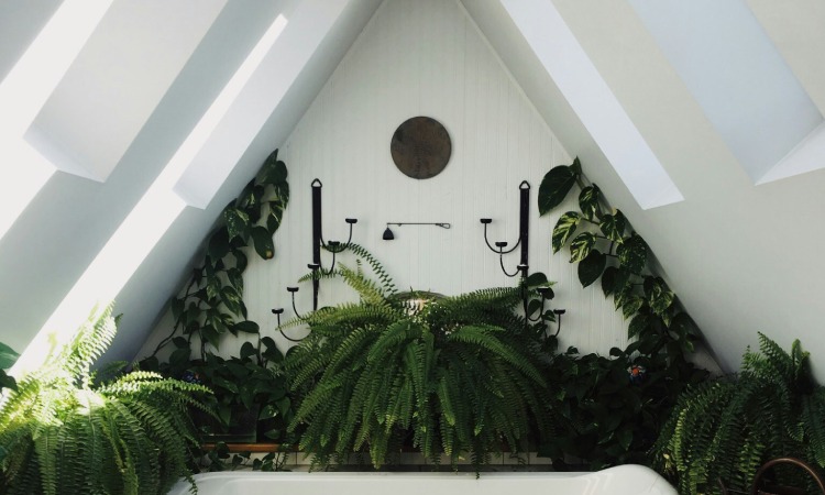 Memanfaatkan bentuk atap loteng, Sumber: unsplash.com