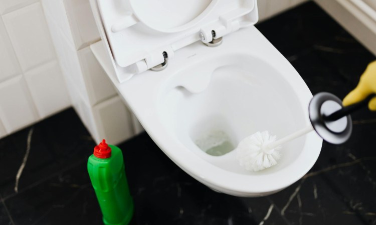 Prosedur membershikan toilet, Sumber: pexels.com
