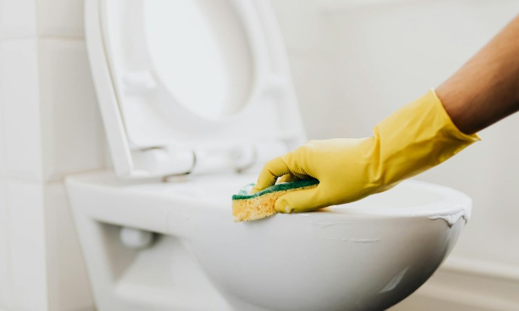 SOP perawatan toilet, Sumber: pexels.com